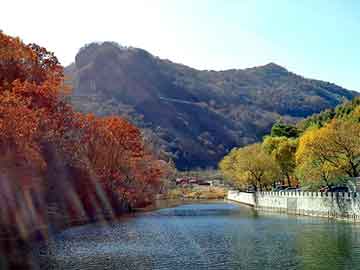 管家婆免费正版资起大全，和老师同居的日子